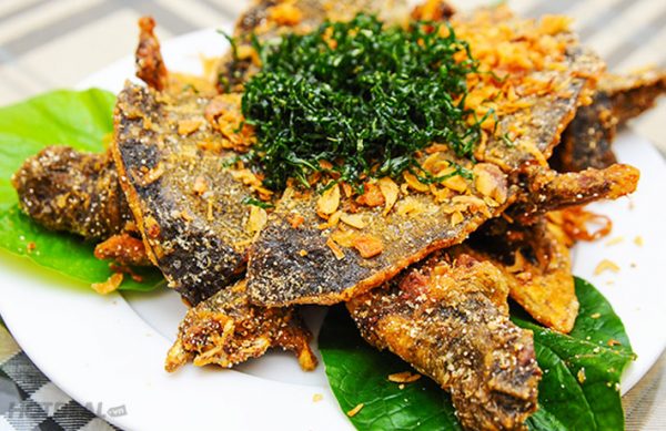 Các món về Ba ba