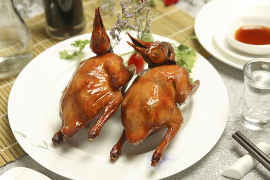 Các món về chim câu