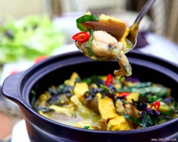 Các món về ếch